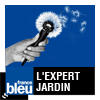 Podcast L'expert Jardin France Bleu Alsace