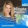 Podcast France Bleu Minute Papillon ! avec Sidonie Bonnec