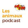 Podcast IDFM Les animaux avec Isabelle Toujet