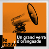 un-grandverres-orangeade.png