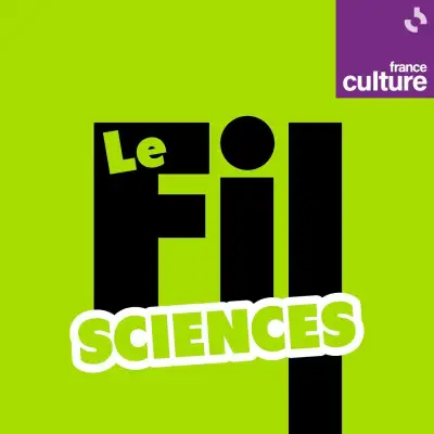 Podcast Le Fil sciences