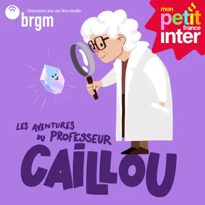 Les aventures du professeur Caillou