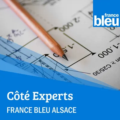 Podcast L'expert animalier France Bleu