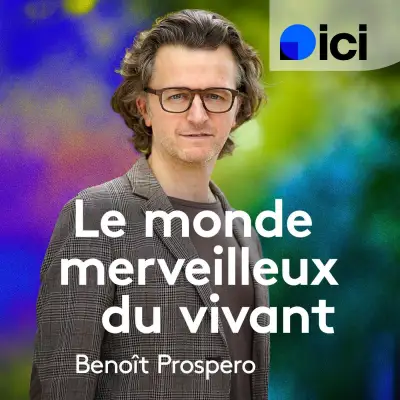 Podcast par Benoît Prospero