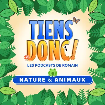 Podcast Tiens donc !