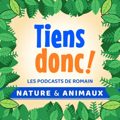 Podcast Tiens donc !