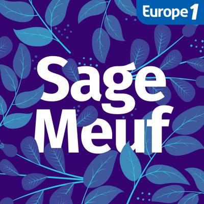 Podcast Europe 1 Sage-Meuf avec Anna Roy