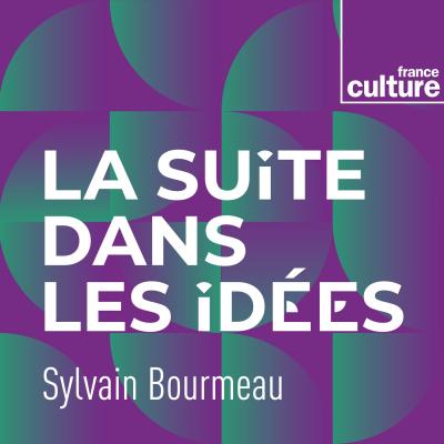 Podcast france culture La Suite dans les idées avec Sylvain Bourmeau