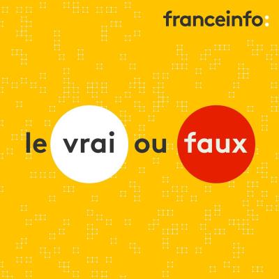 Podcast France info Le vrai du faux avec Antoine Krempf