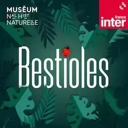 Bestioles