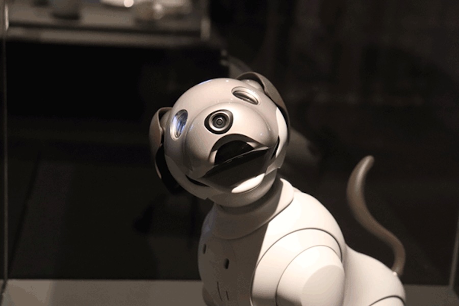 Astro, un chien robot qui se comporte comme un vrai chien