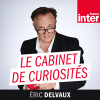 Podcast France Inter Le cabinet de curiosités avec Eric Delvaux