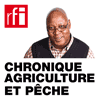 Podcast RFI Chronique Agriculture et Pêche avec Sayouba Traoré