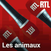 Podcast RTL Les animaux avec Hélène Gateau
