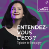 podcast france culture Entendez-vous l'éco ? avec Tiphaine de Rocquigny