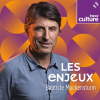 Podcast France Culture Les Enjeux avec Baptiste Muckensturm
