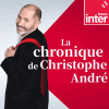 Podcast France Inter La chronique de Christophe André